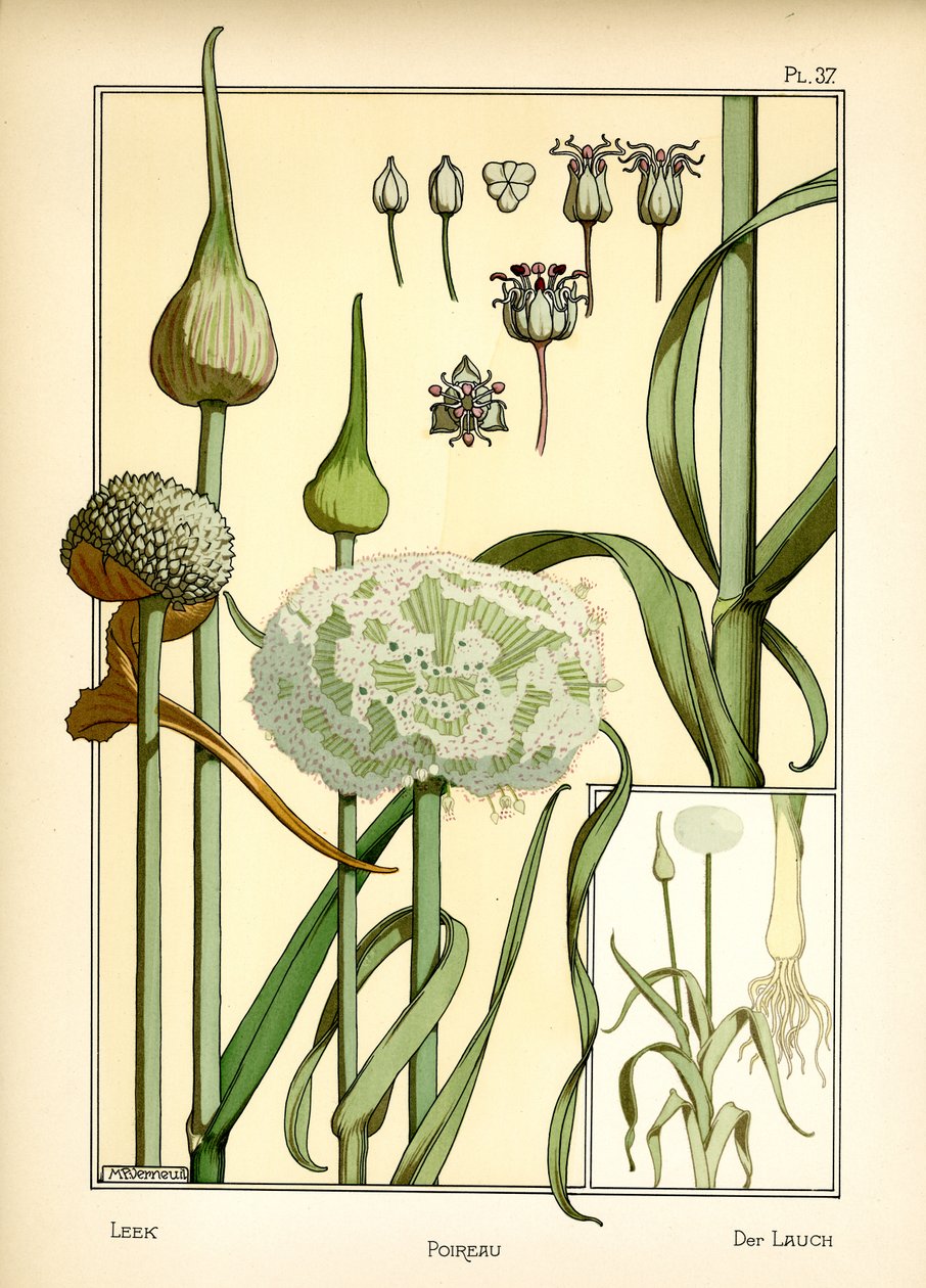 Purren (farge litho) av Maurice Pillard Verneuil