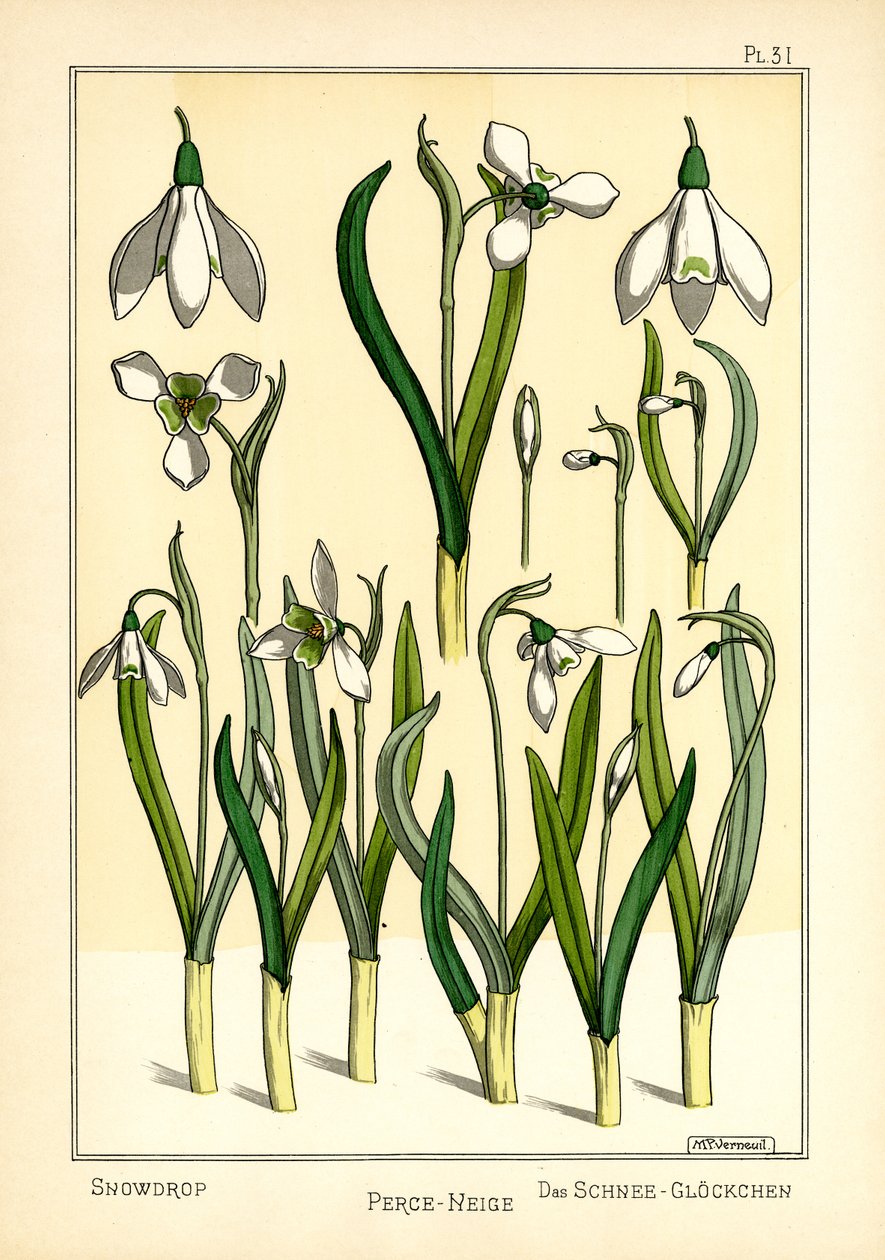 Snøklokken (farge litho) av Maurice Pillard Verneuil