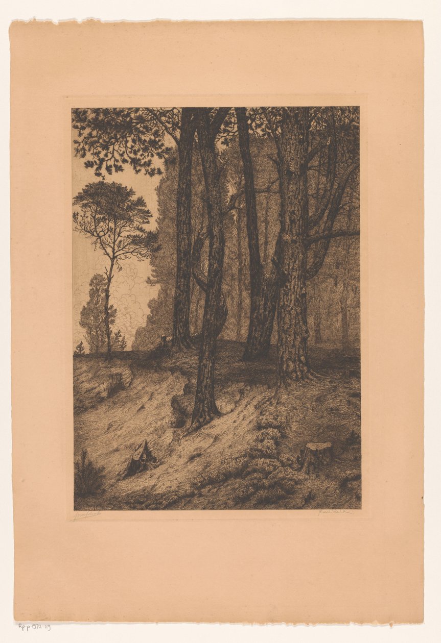 skogkanten av Maurits van der Valk (signed by artist)