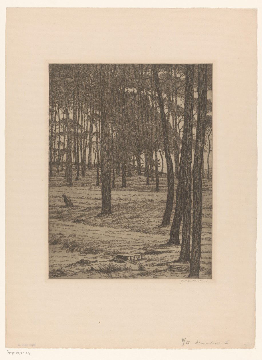 Dennenbosch I (original tittel på objekt) Bos (original tittel) av Maurits van der Valk (signed by artist)