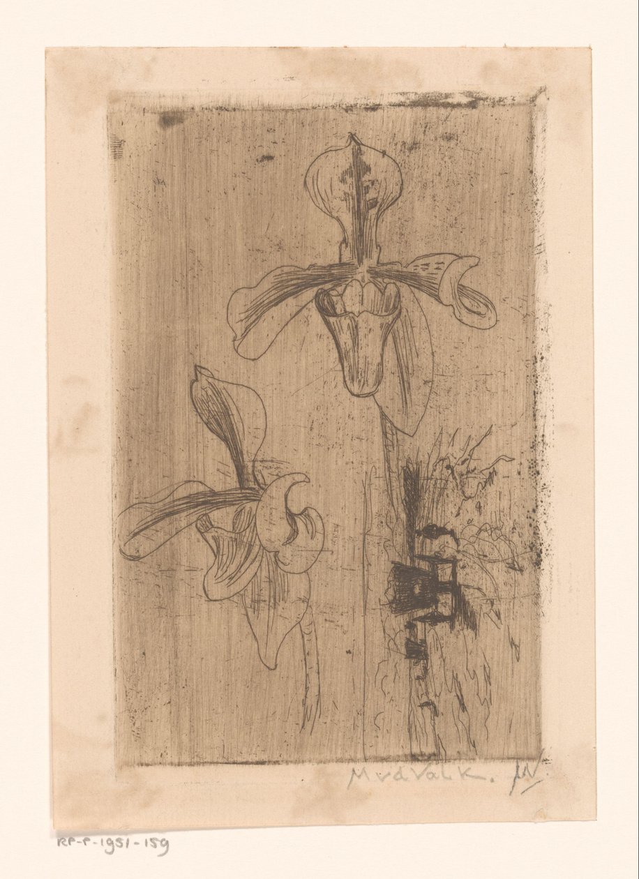 To orkideer og en vogn på stranden av Maurits van der Valk (signed by artist)