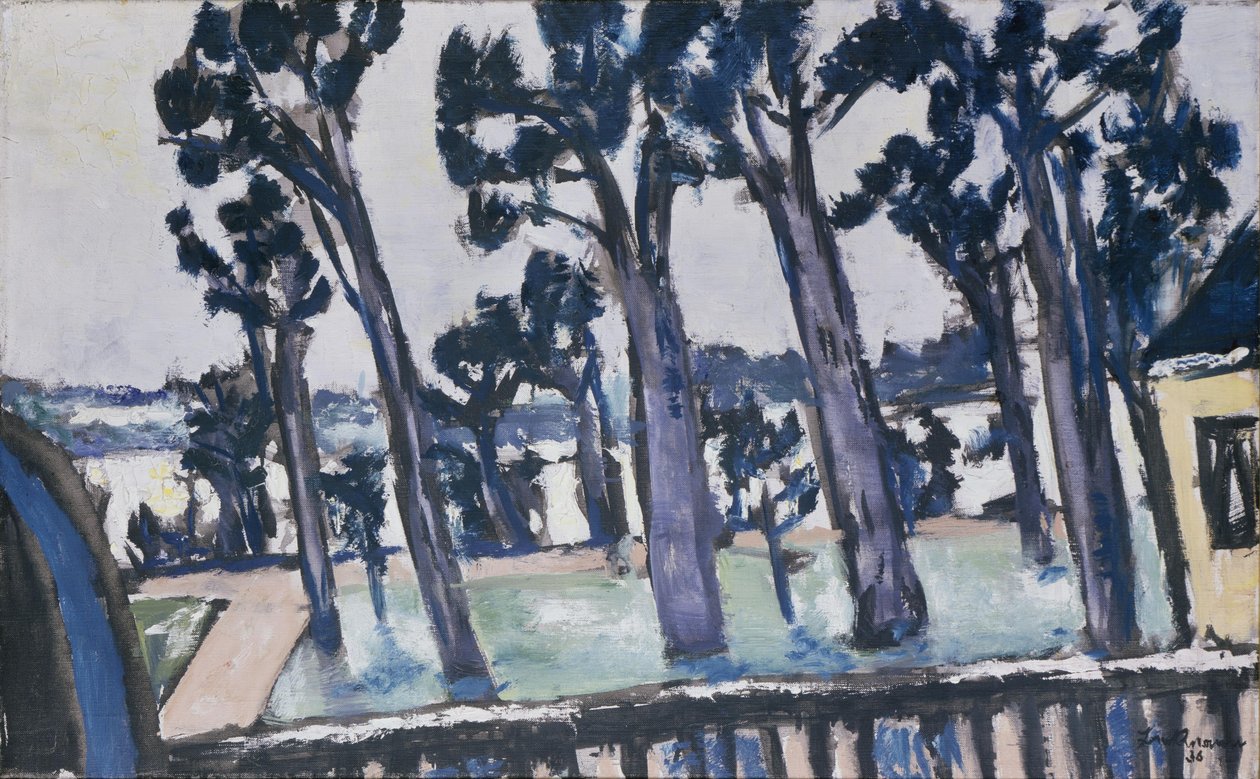 Utsikt over Havel fra Rupenhorn av Max Beckmann