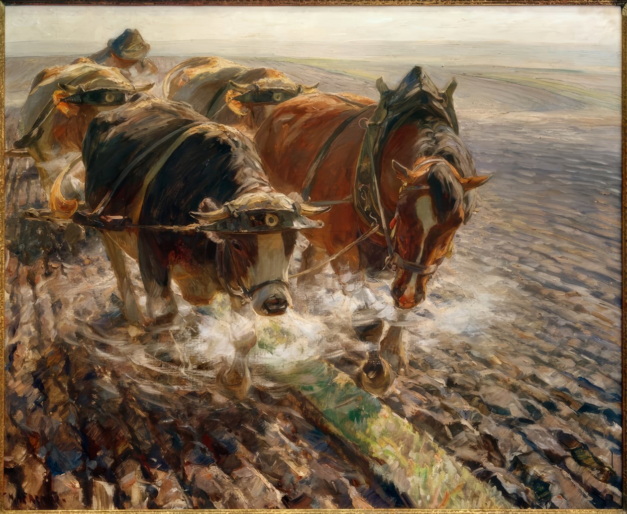 Dampende flyndre av Max Bergmann