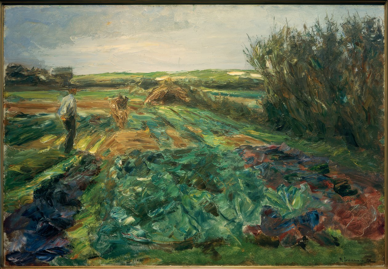 Das Kohlfeld (Kohlfeld i Noordwijk) av Max Liebermann