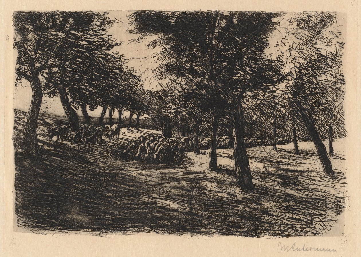 Besetning av sauer under trær, 1891. av Max Liebermann