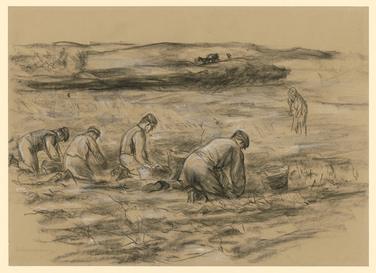 Potetgravere i Zandvoort av Max Liebermann