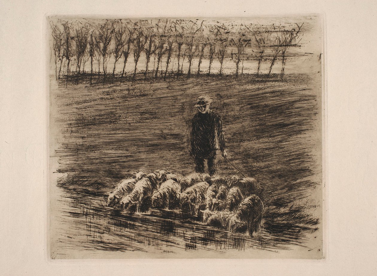 Saueflokk ved vanningsstedet av Max Liebermann