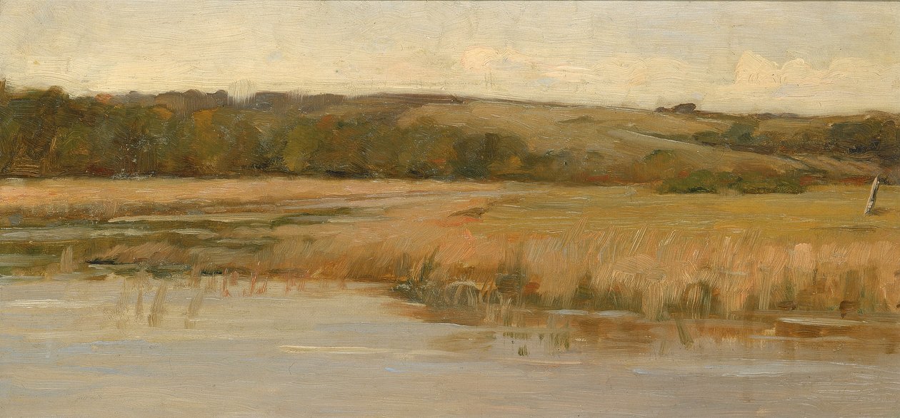 Hill and Marshland, slutten av 1800-begynnelsen av 1900-tallet. av Max Weyl