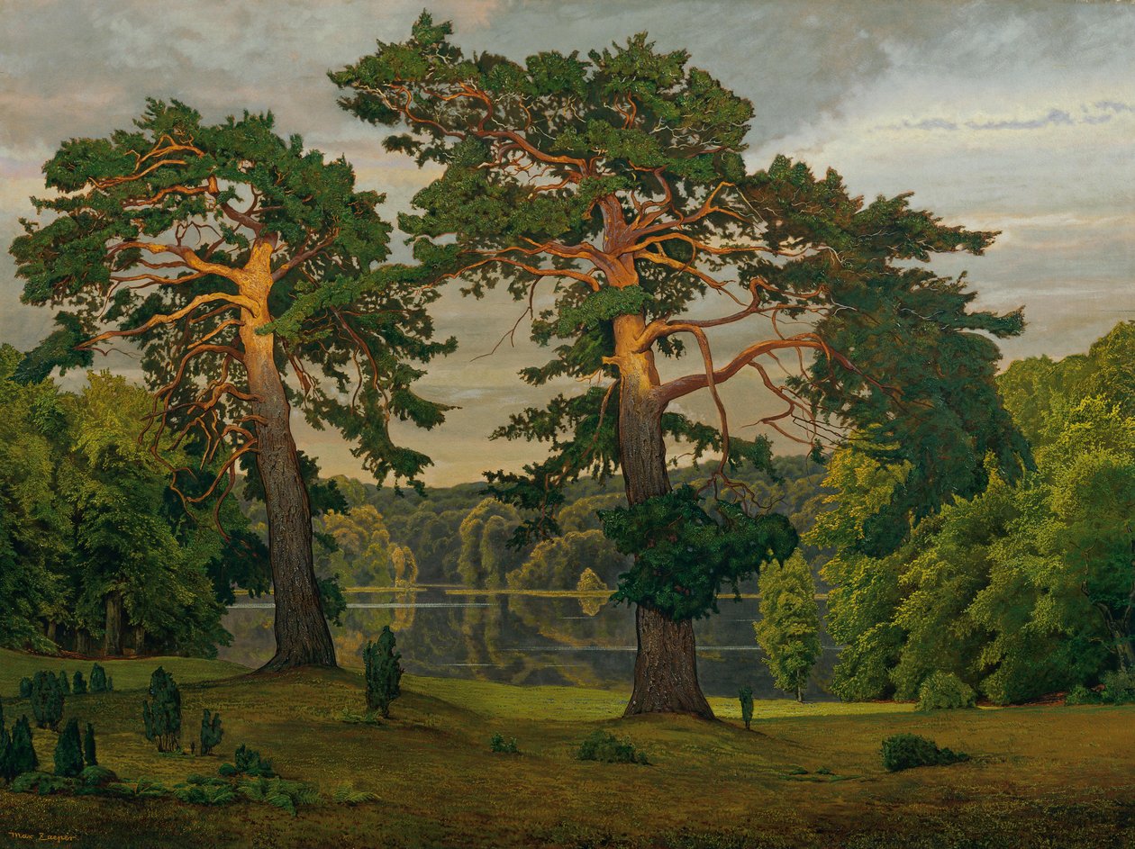  av Max Zaeper