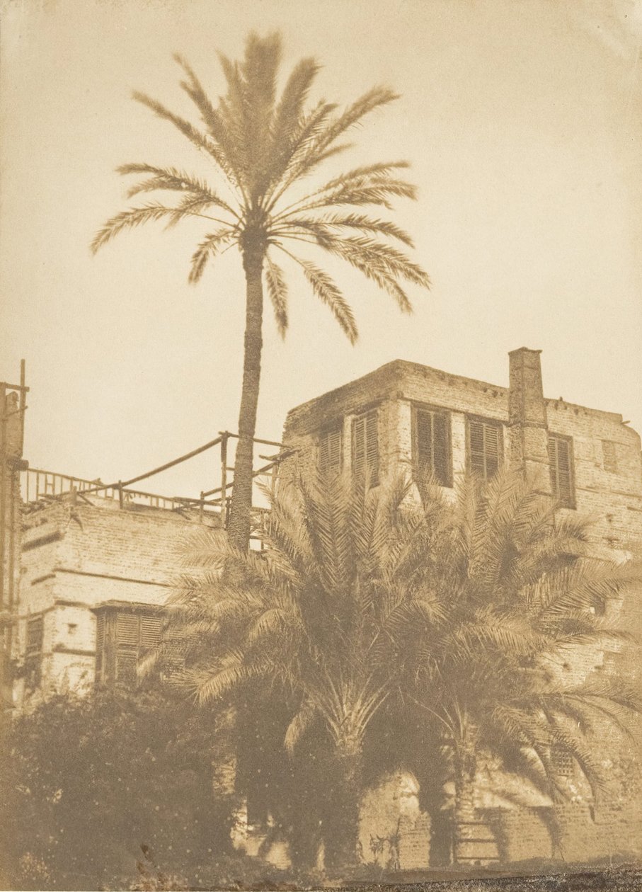 Daddelpalmer og Maison du Quartier Franc, Kairo, desember 1849-januar 1850. av Maxime Du Camp
