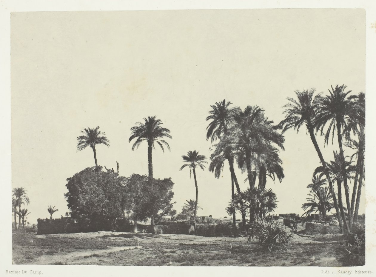 Landsbyen Hamameh, Øvre Egypt, 184951, trykt 1852. av Maxime Du Camp