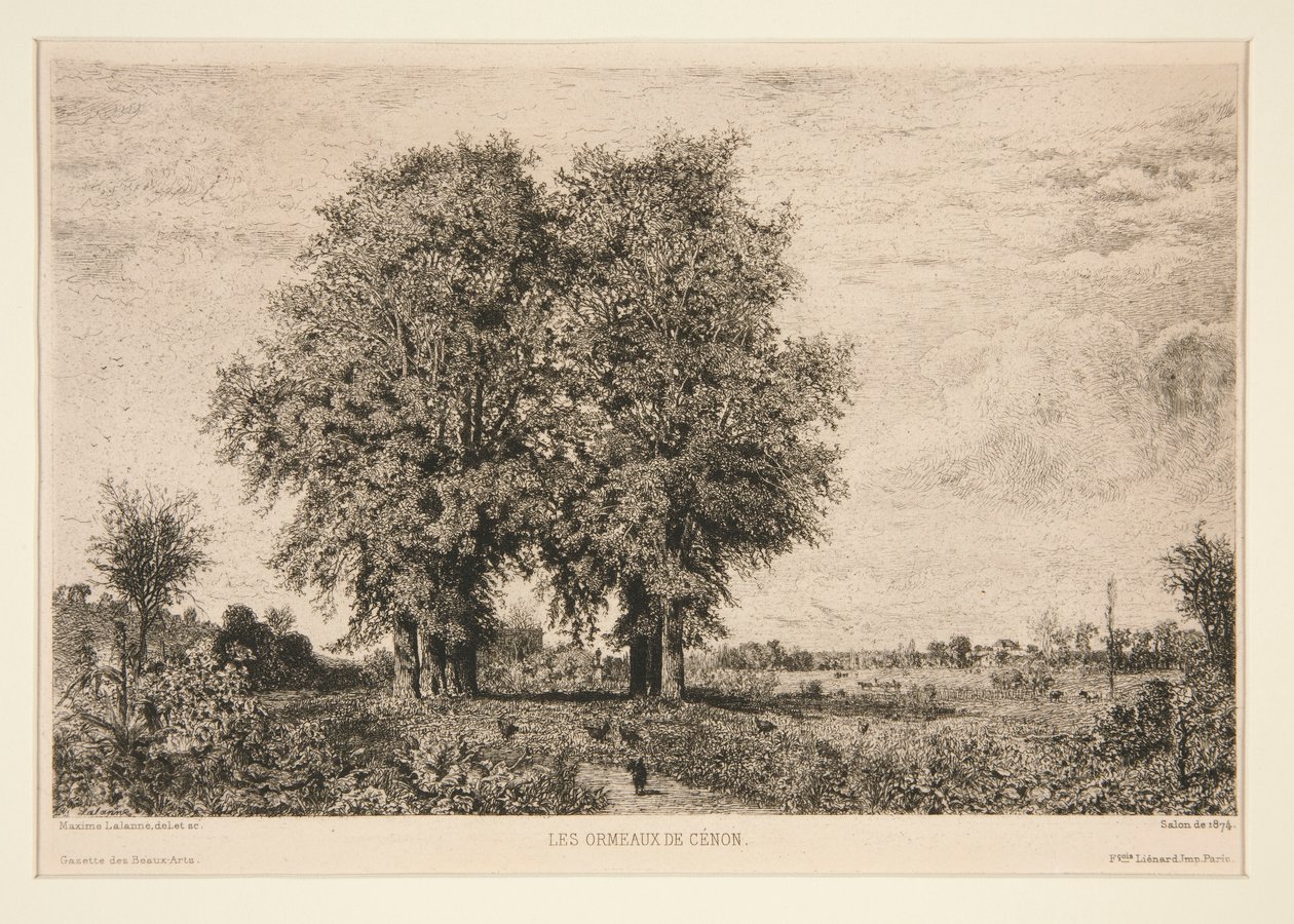 The Elms of C?non av Maxime Lalanne