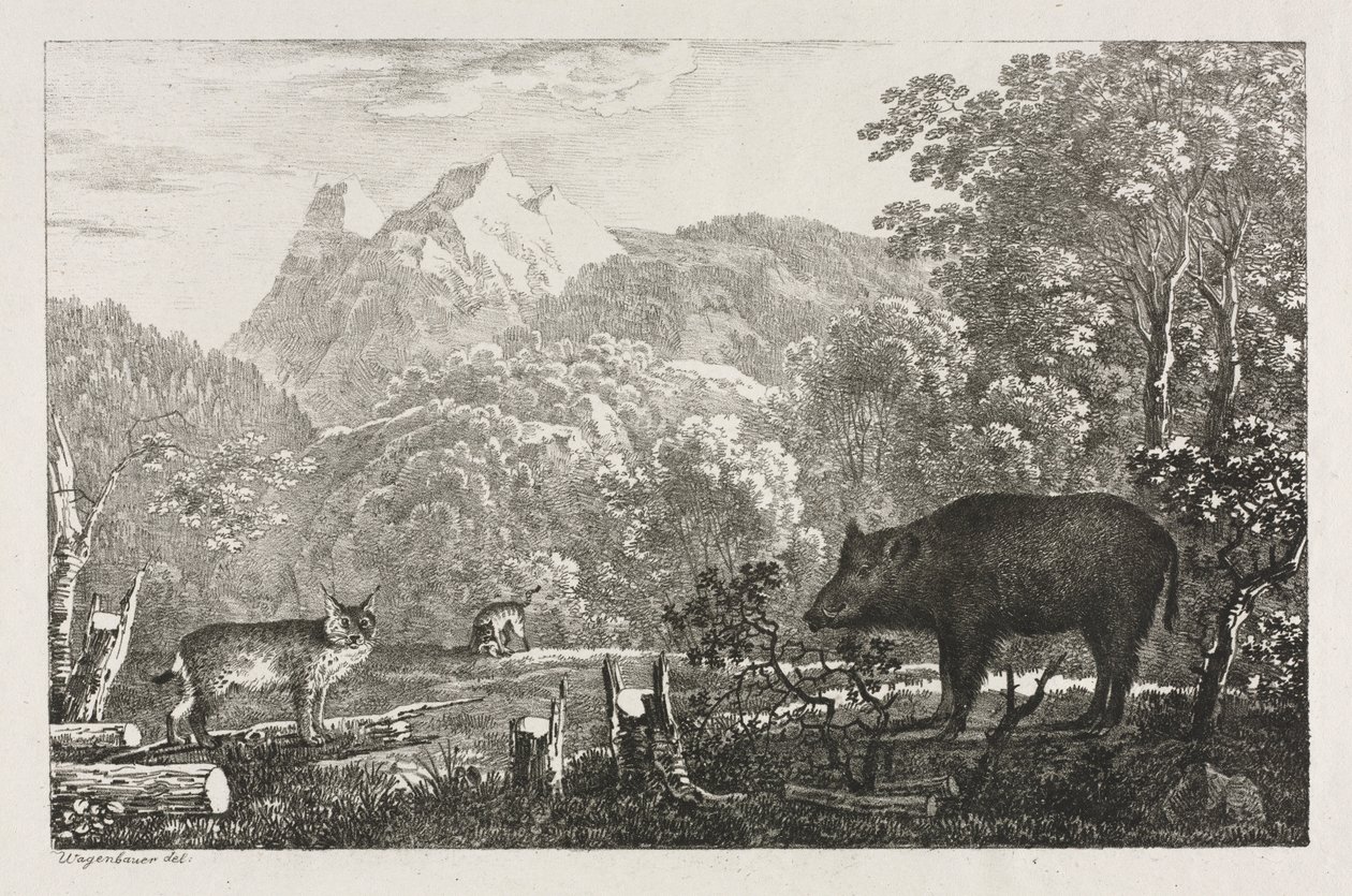 Villsvin, villkatt og gaupe, 1807. av Maximilian Josef Wagenbauer