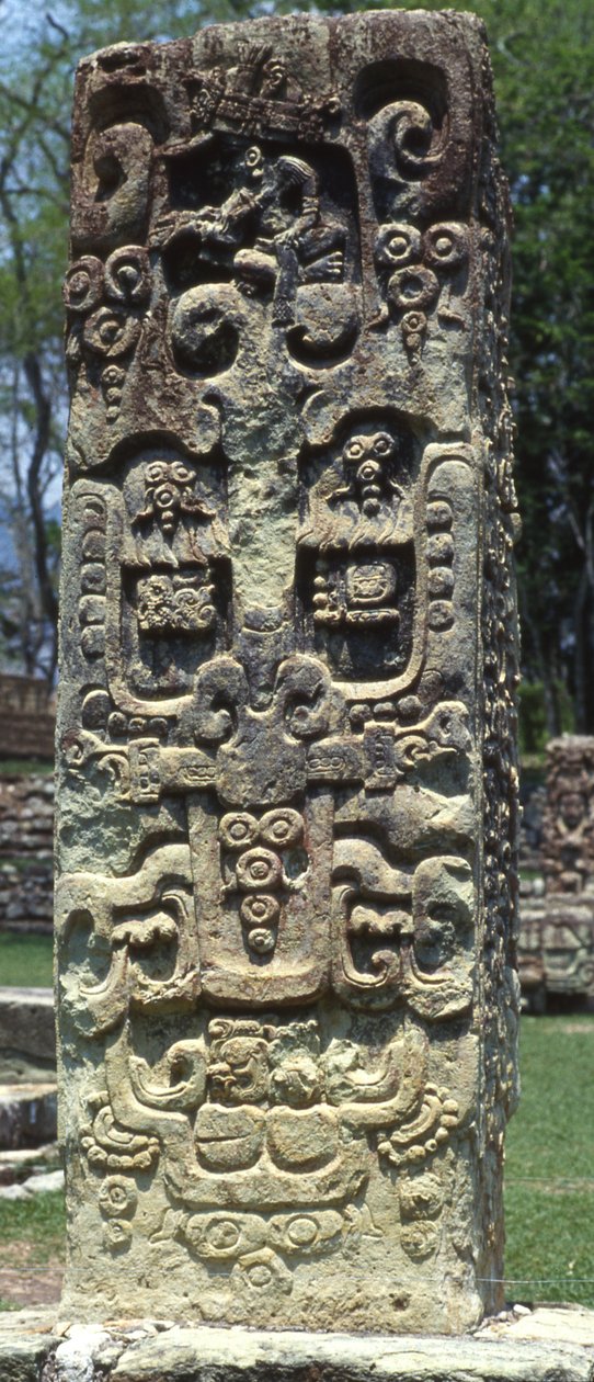 Baksiden av stela B, Copan, sen klassisk periode, 731 e.Kr av Mayan