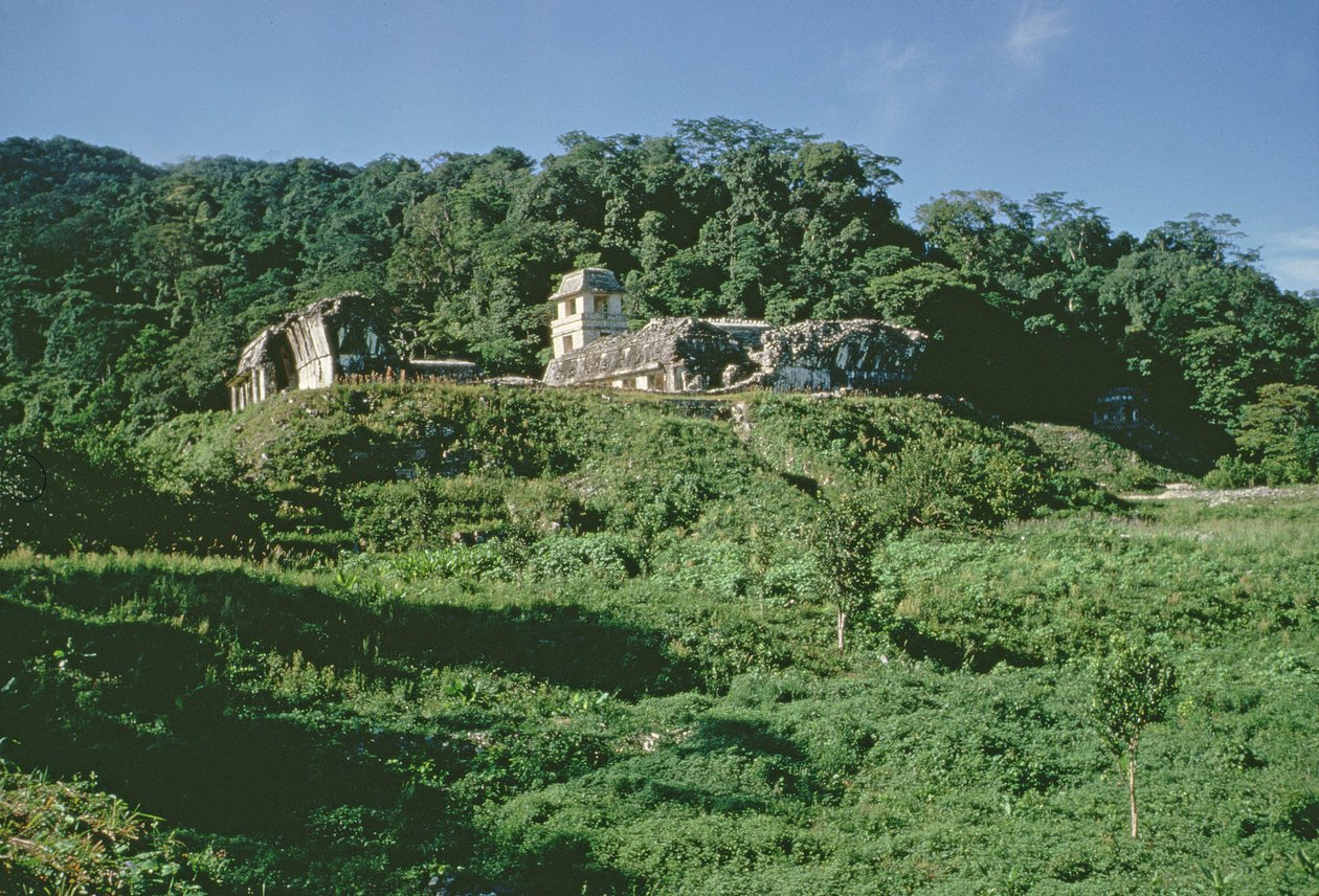 Palass og observatorium på haugen, Maya, sen klassisk periode av Mayan