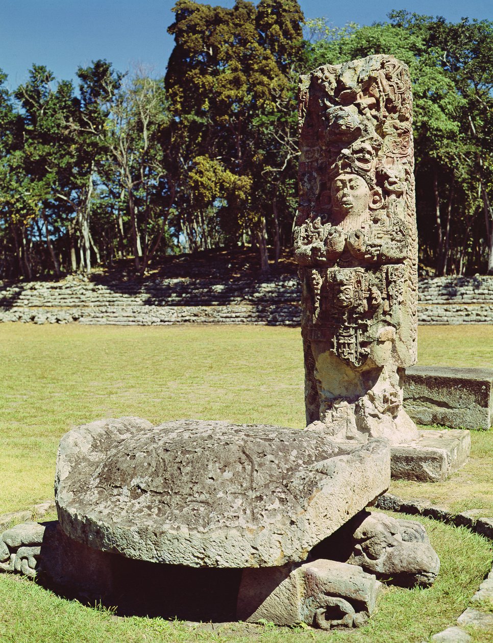 Stele C som viser atten kaniner og en statue av en tohodet skilpadde foran, AD 711 av Mayan