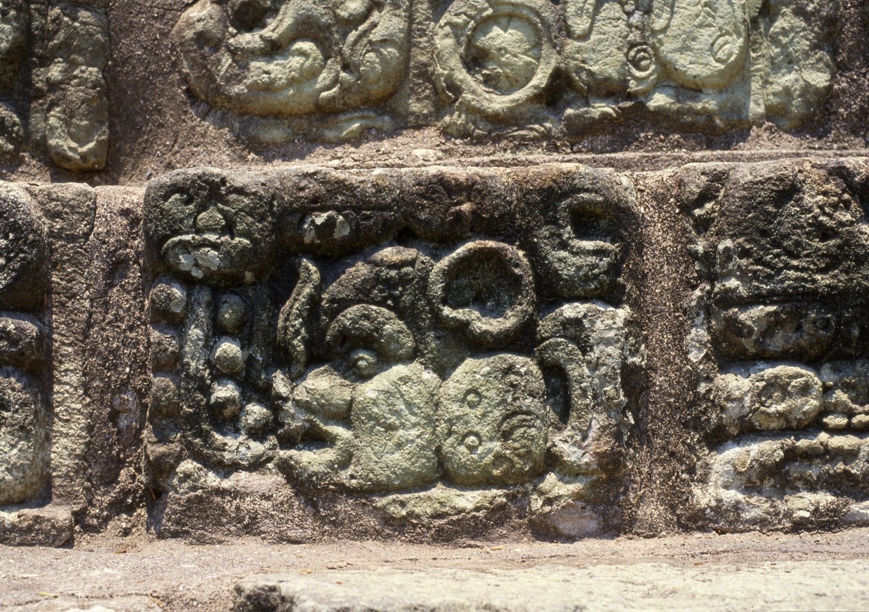 Glyf av byen Copan på hieroglyftrappen, sen klassisk periode (600–900) ca. 760 e.Kr. av Mayan