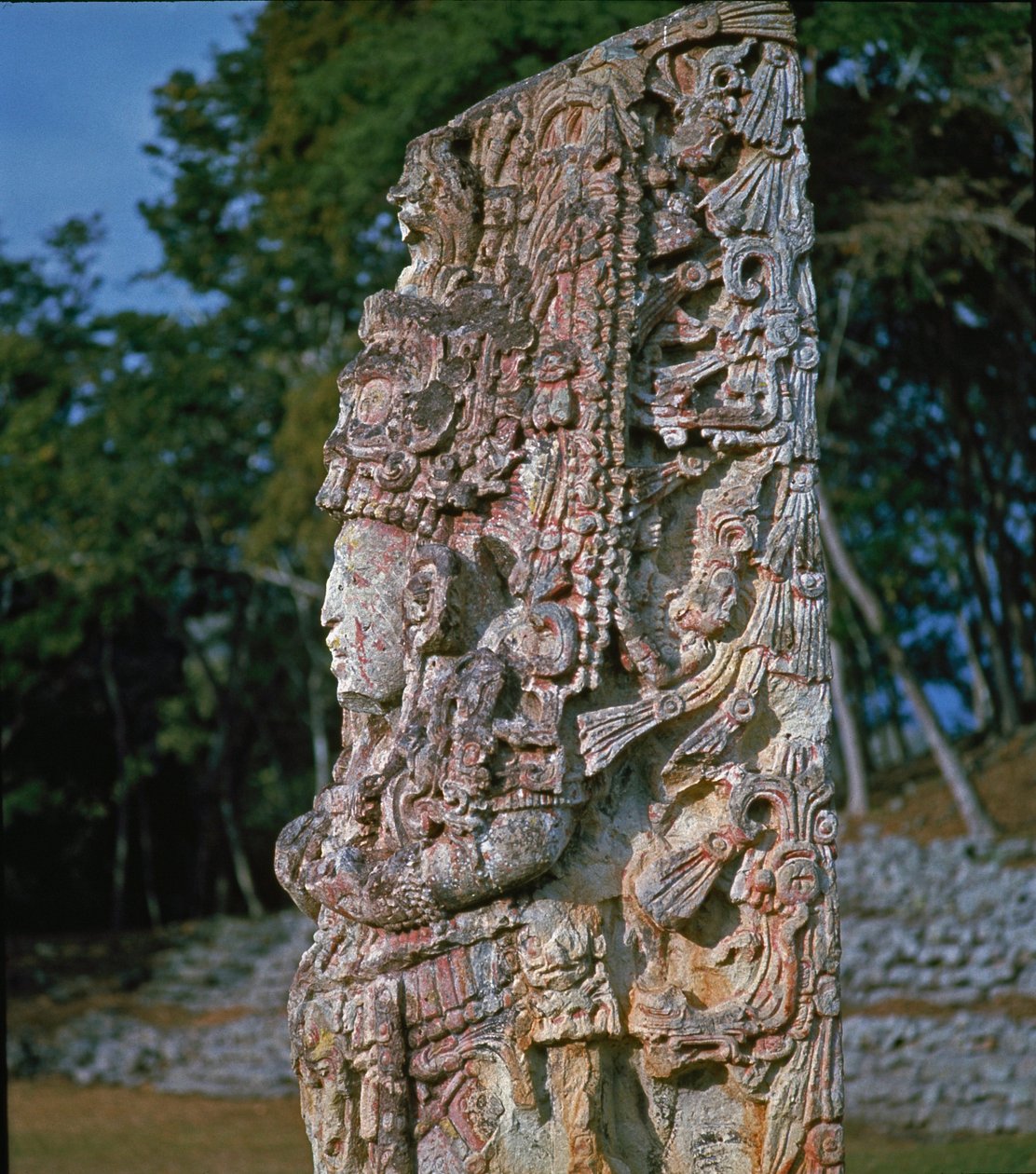 Stele H, Plaza of Ceremonies, 731 AD av Mayan