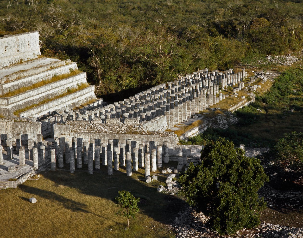 Tempel med 1000 søyler av Mayan Mayan