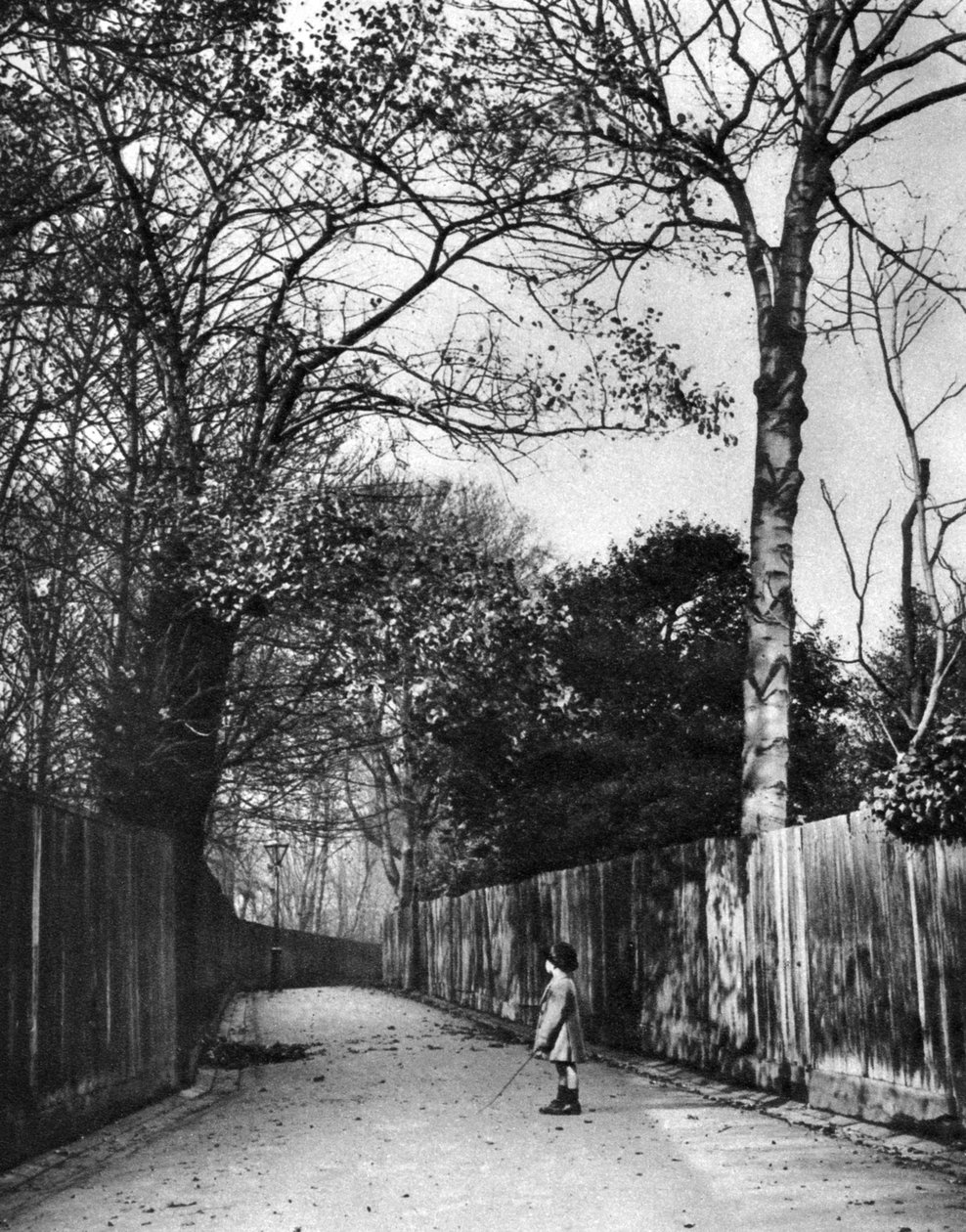 Høsttid i Holland Walk, London, 1926-1927. av McLeish