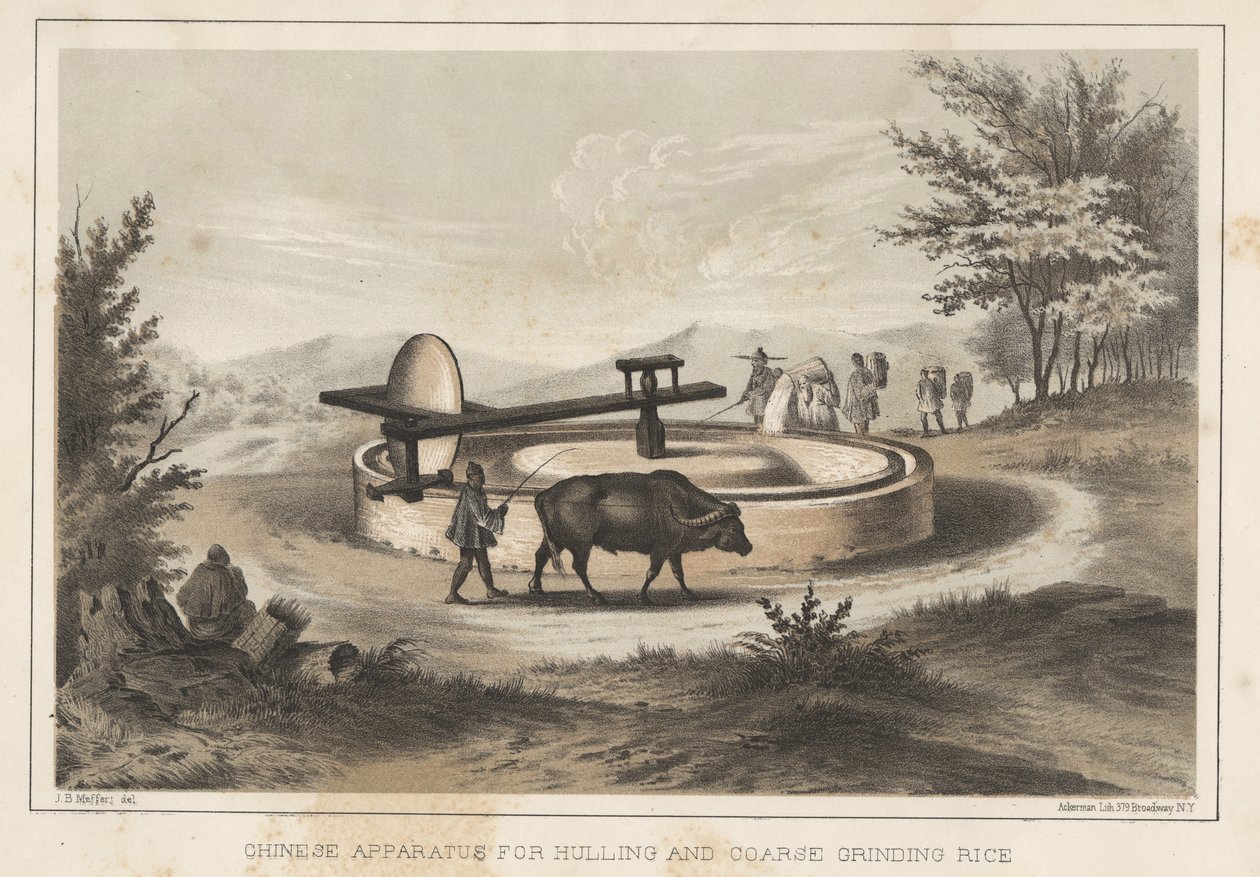 Kinesisk apparat for skrog og grovmaling av ris, 1855 av Meffert