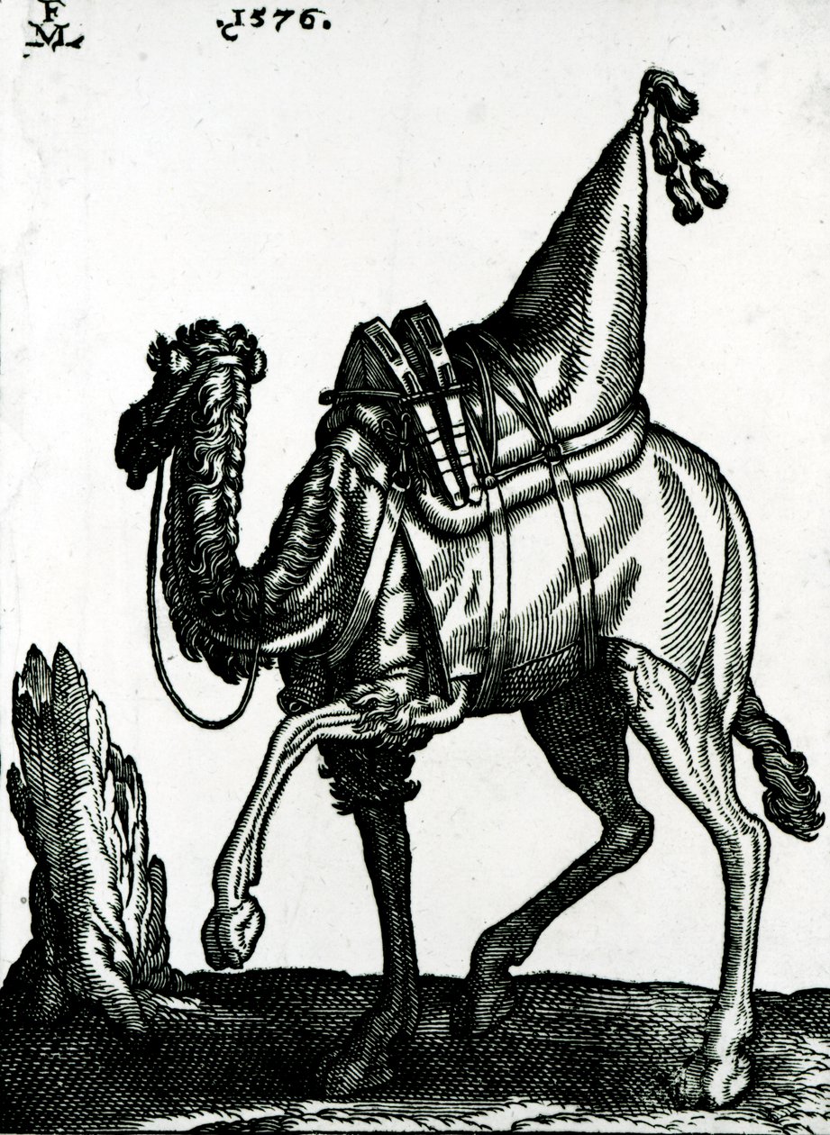 Kamel (treblokk) av Melchior Lorck