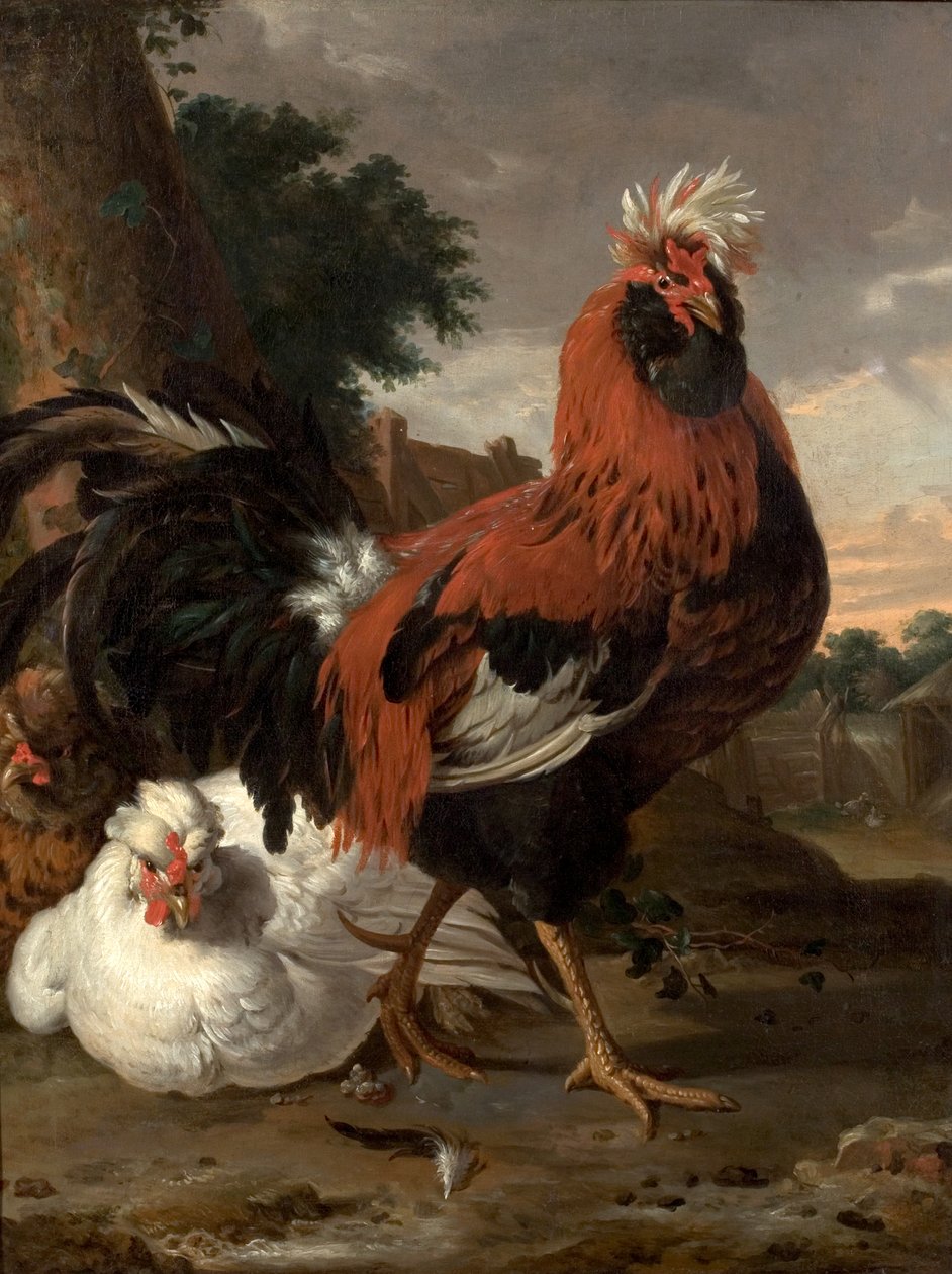 Fowl av Melchior de Hondecoeter