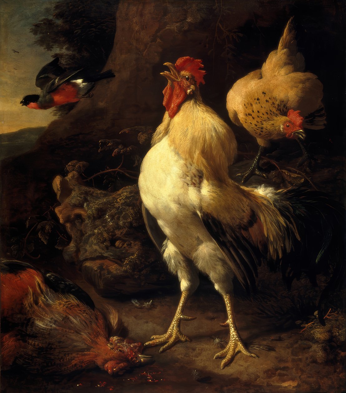 M. de Hondecoeter, Victorious Rooster av Melchior de Hondecoeter