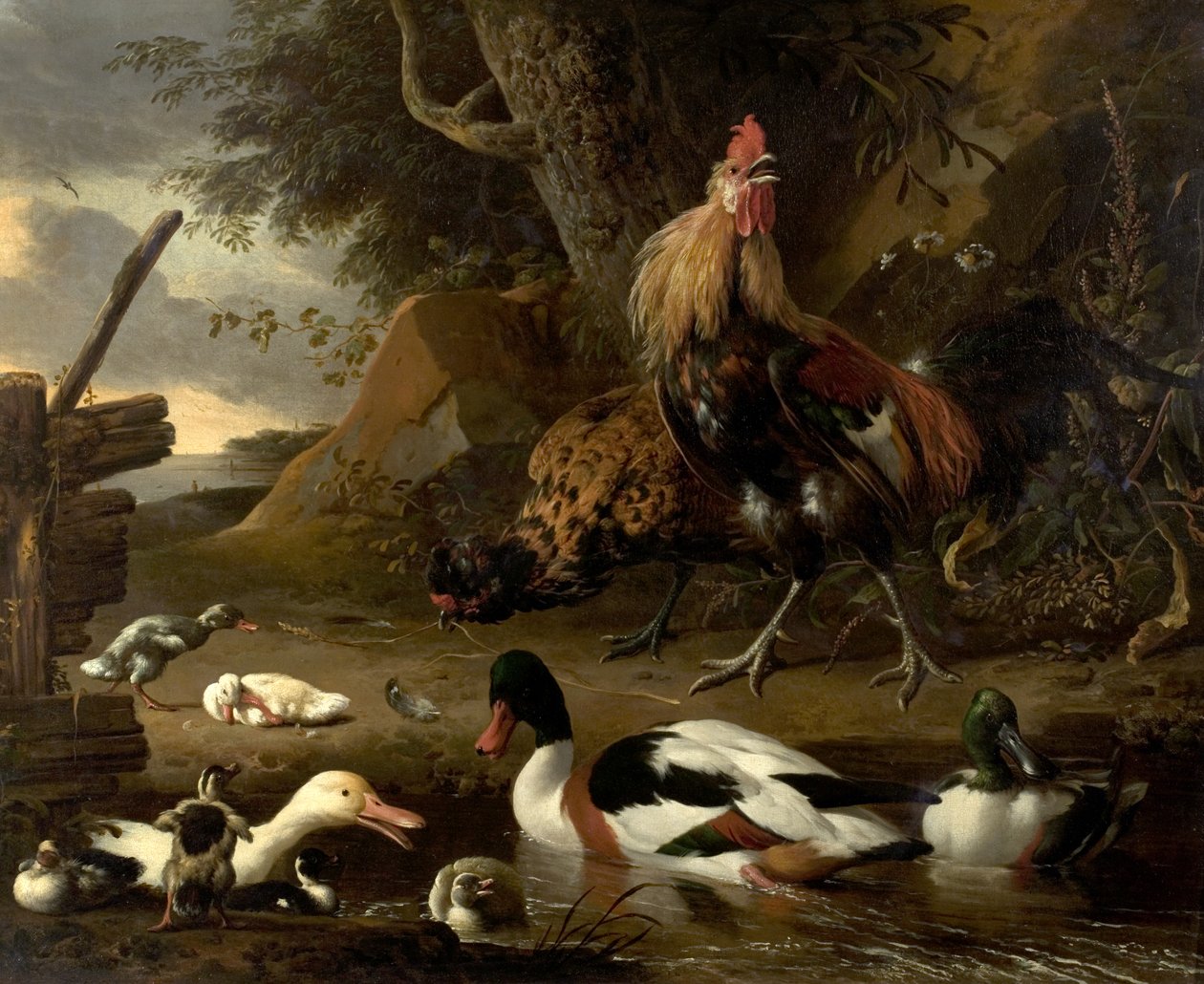 To høns og ender på en dam av Melchior de Hondecoeter
