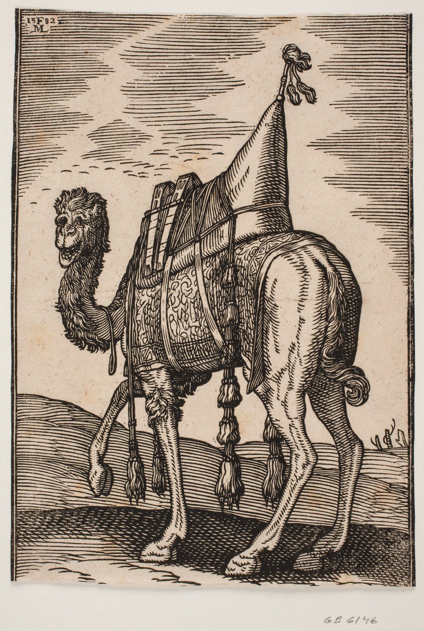 En salet kamel av Melchior Lorck