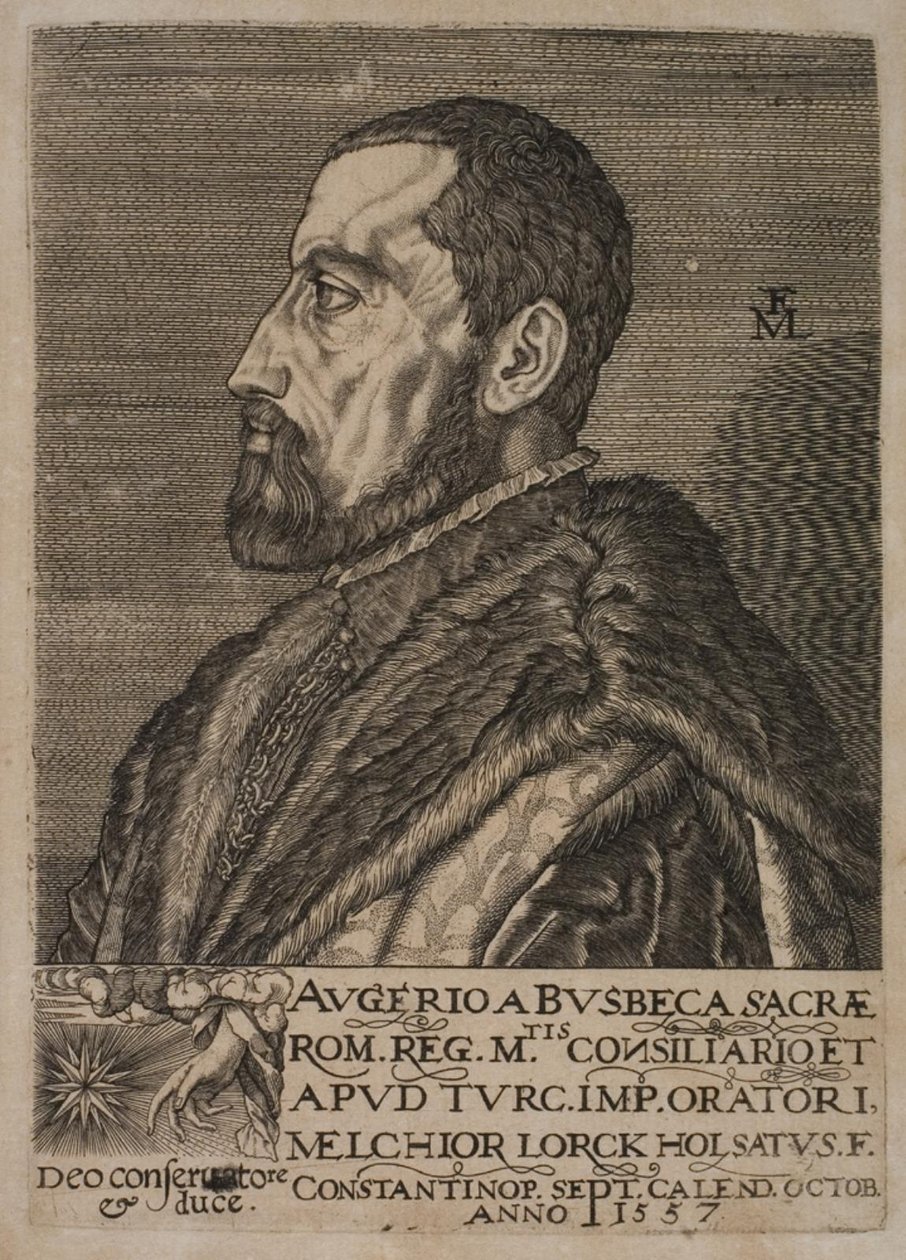 Portrett av Ogier Ghiselin de Busbecq, keiserlig utsending. av Melchior Lorck