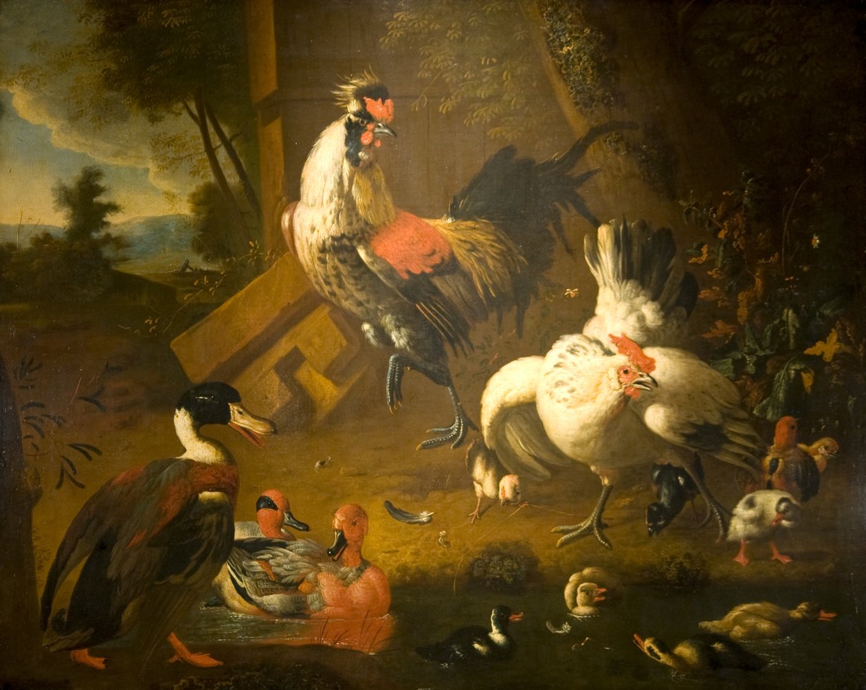 En hane med en høne og tre ender av Melchior de (studio of) Hondecoeter