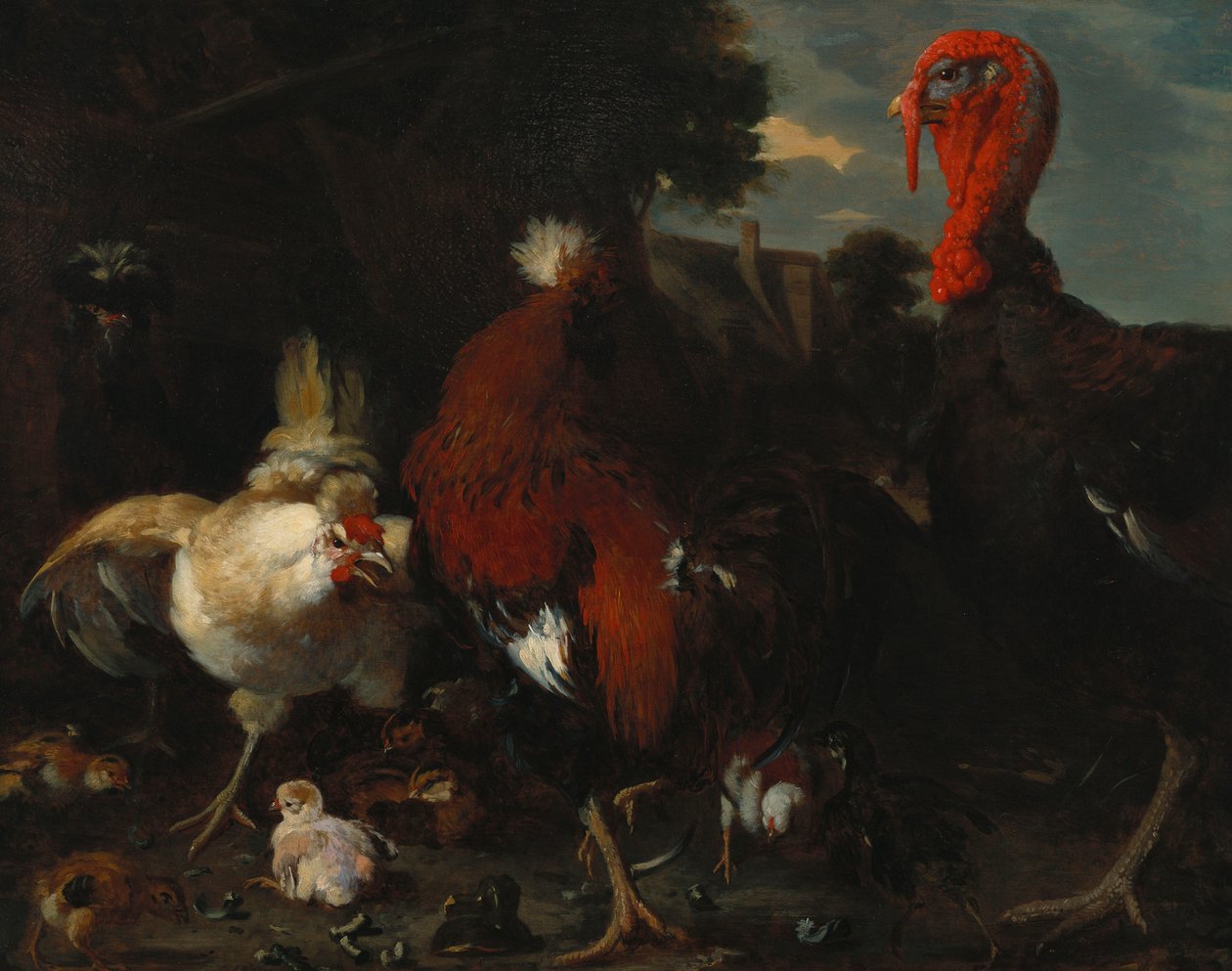 En høne, hane og kalkun i et gårdstun av Melchior de Hondecoeter