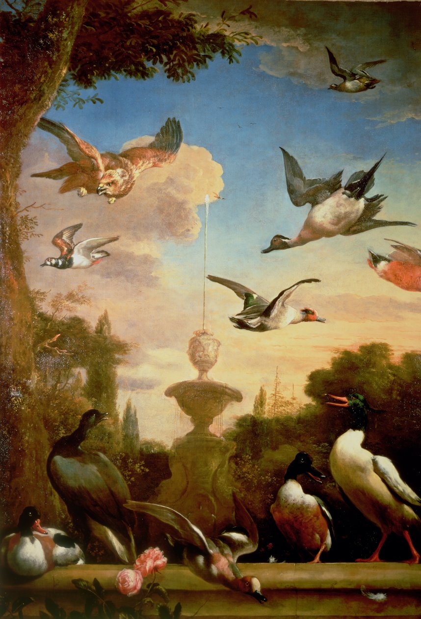 En stokkand og en kongeørn i et klassisk hagelandskap av Melchior de Hondecoeter