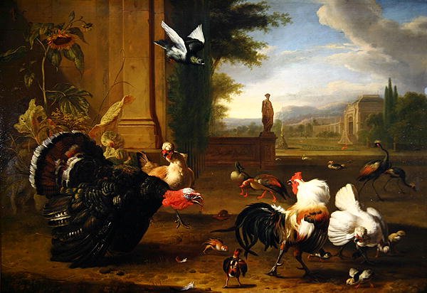 En kalkun, hane og hane og andre eksotiske fugler i parkomgivelser (olje på lerret) av Melchior de Hondecoeter