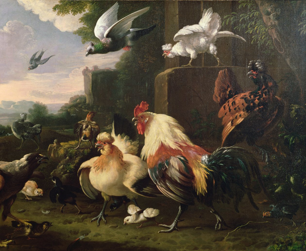En hane og andre fugler i et landskap av Melchior de Hondecoeter