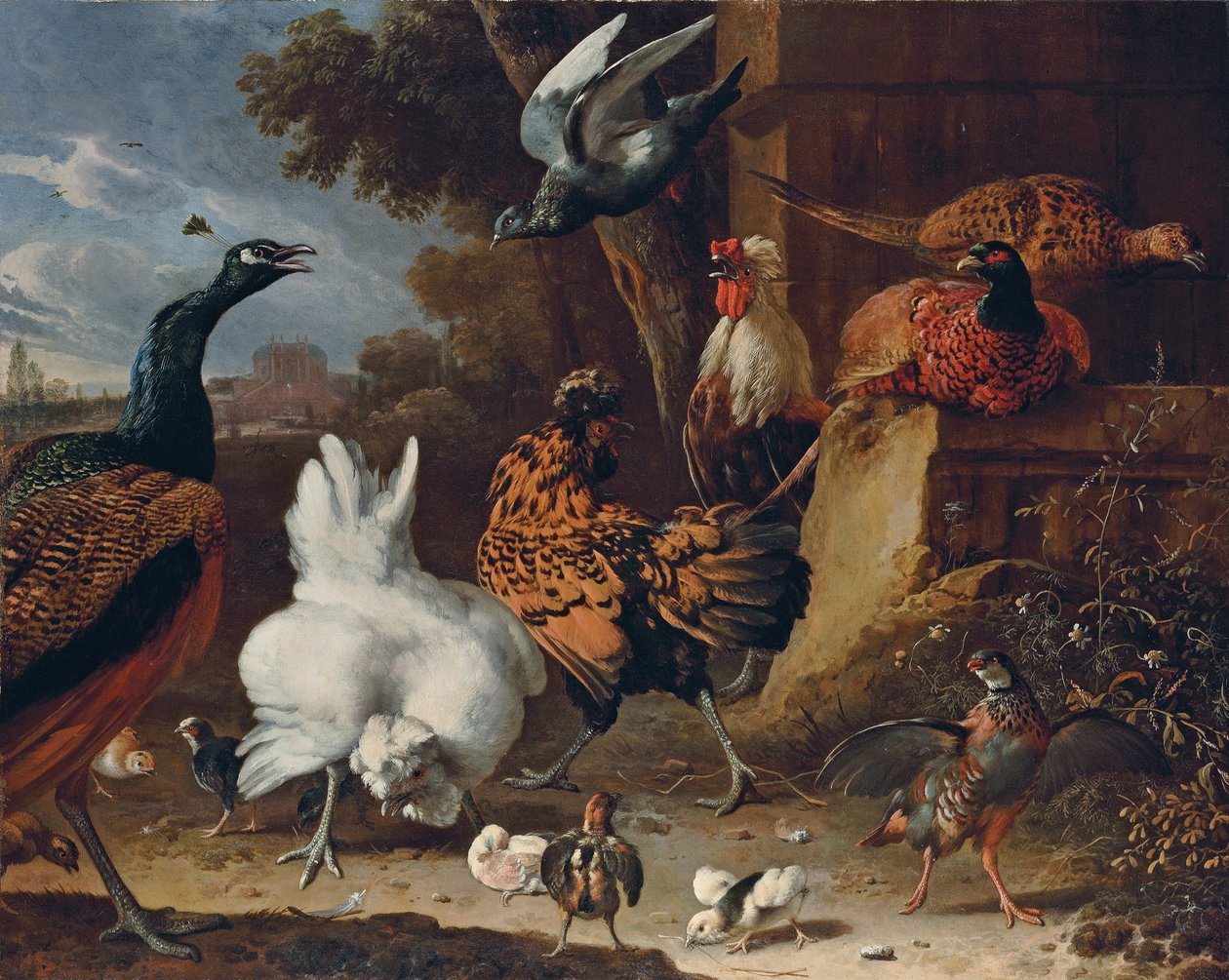 En hane, høner, kyllinger, en rapphøne, fasaner, en påfugl og en due ved en vegg i parken til et herskapshus av Melchior de Hondecoeter