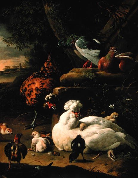 En høne med kyllinger, en hane og duer i et landskap (olje på lerret) av Melchior de Hondecoeter