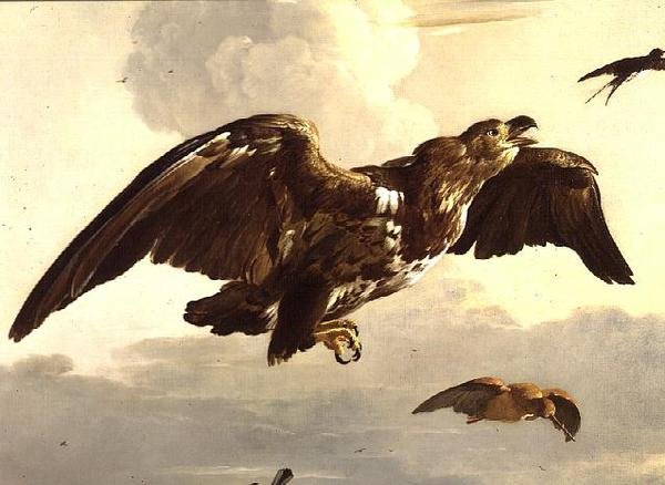 En ørn og en svale på flukt av Melchior de Hondecoeter