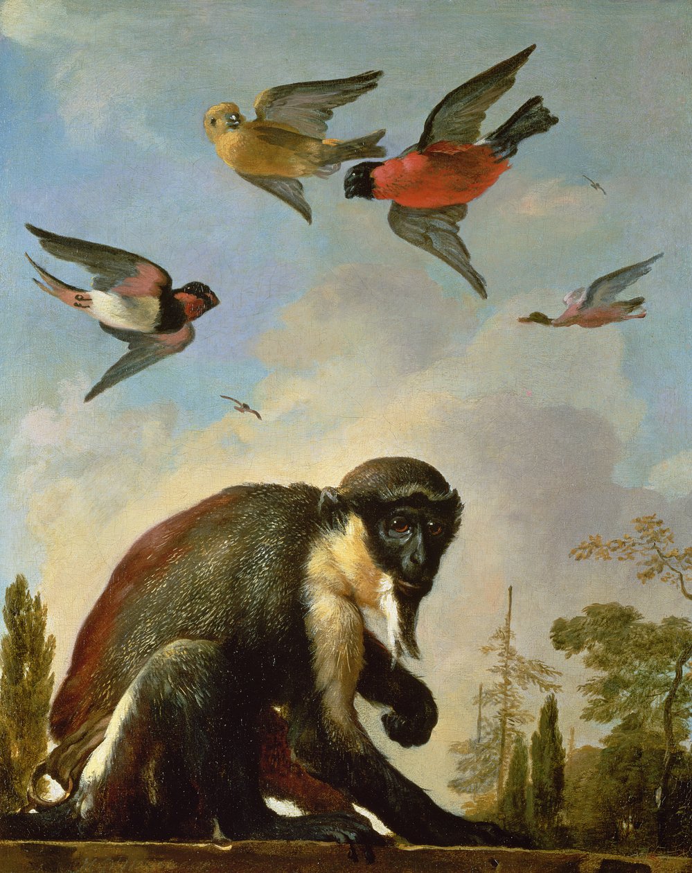 Lenket ape i et landskap av Melchior de Hondecoeter