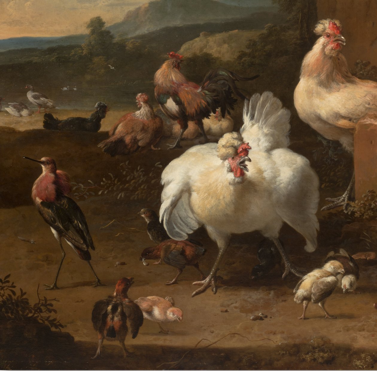 Detalj fra Menagerie, ca.1680 av Melchior de Hondecoeter