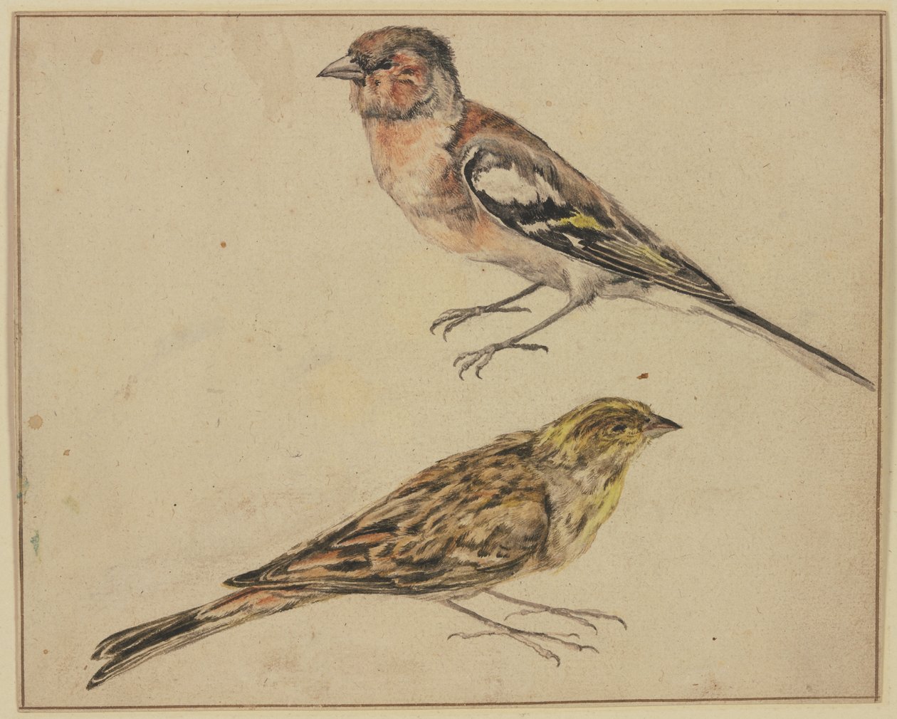 En stillits og en tornirisk av Melchior de Hondecoeter