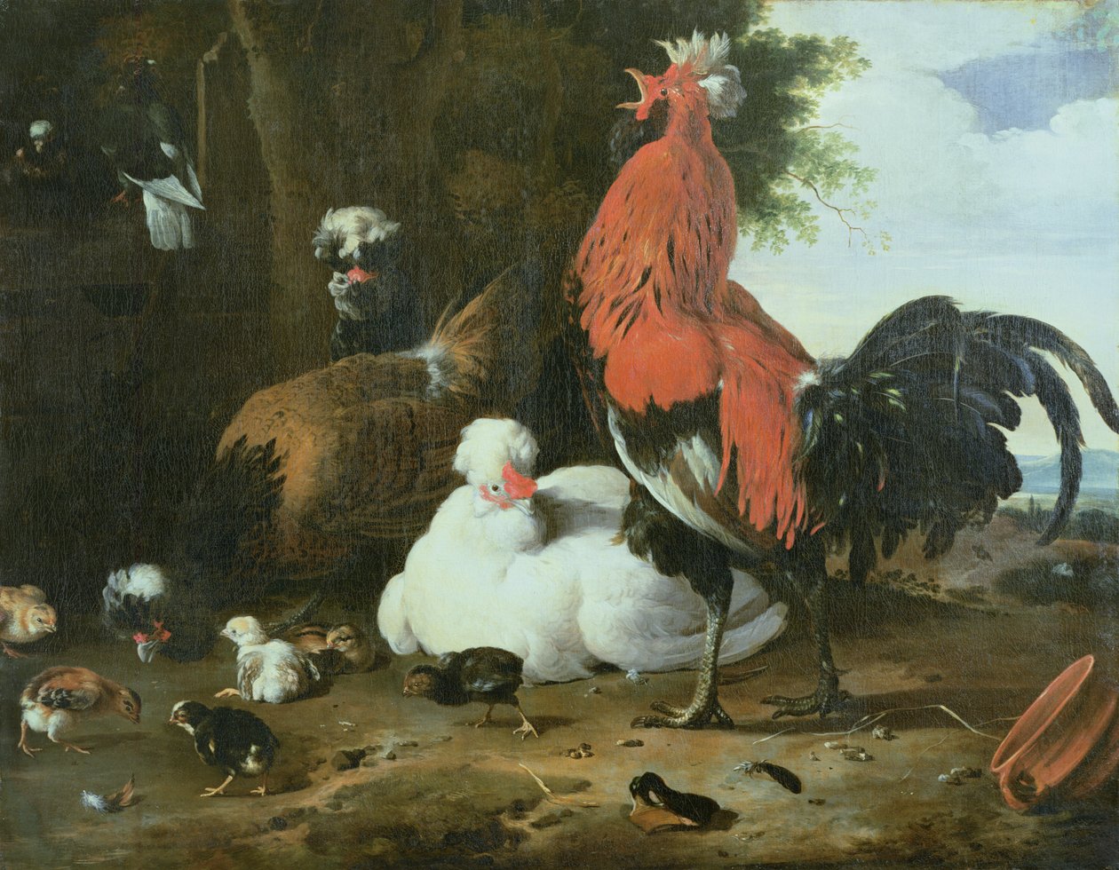 Gårdsfugler med duer av Melchior de Hondecoeter