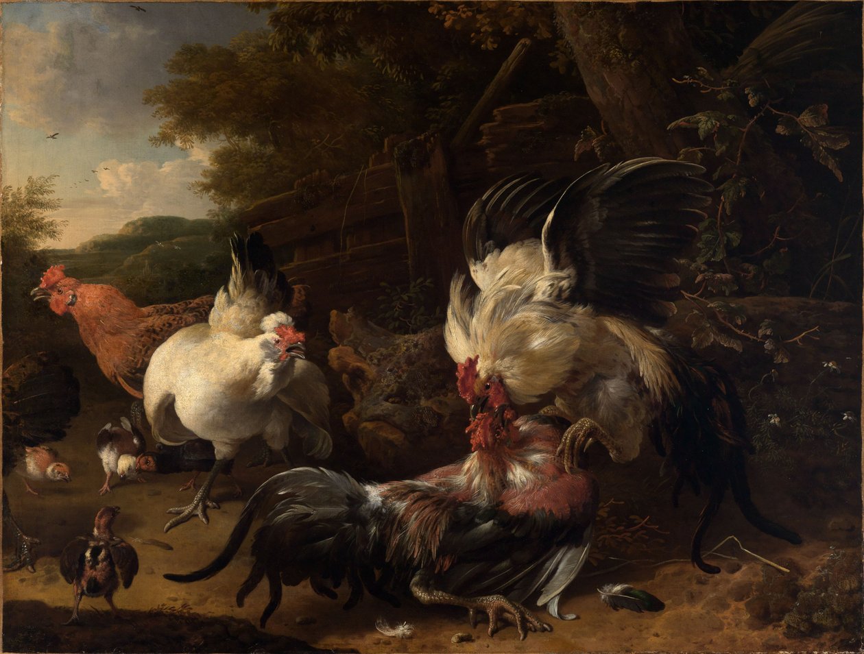 Kjempende haner av Melchior de Hondecoeter