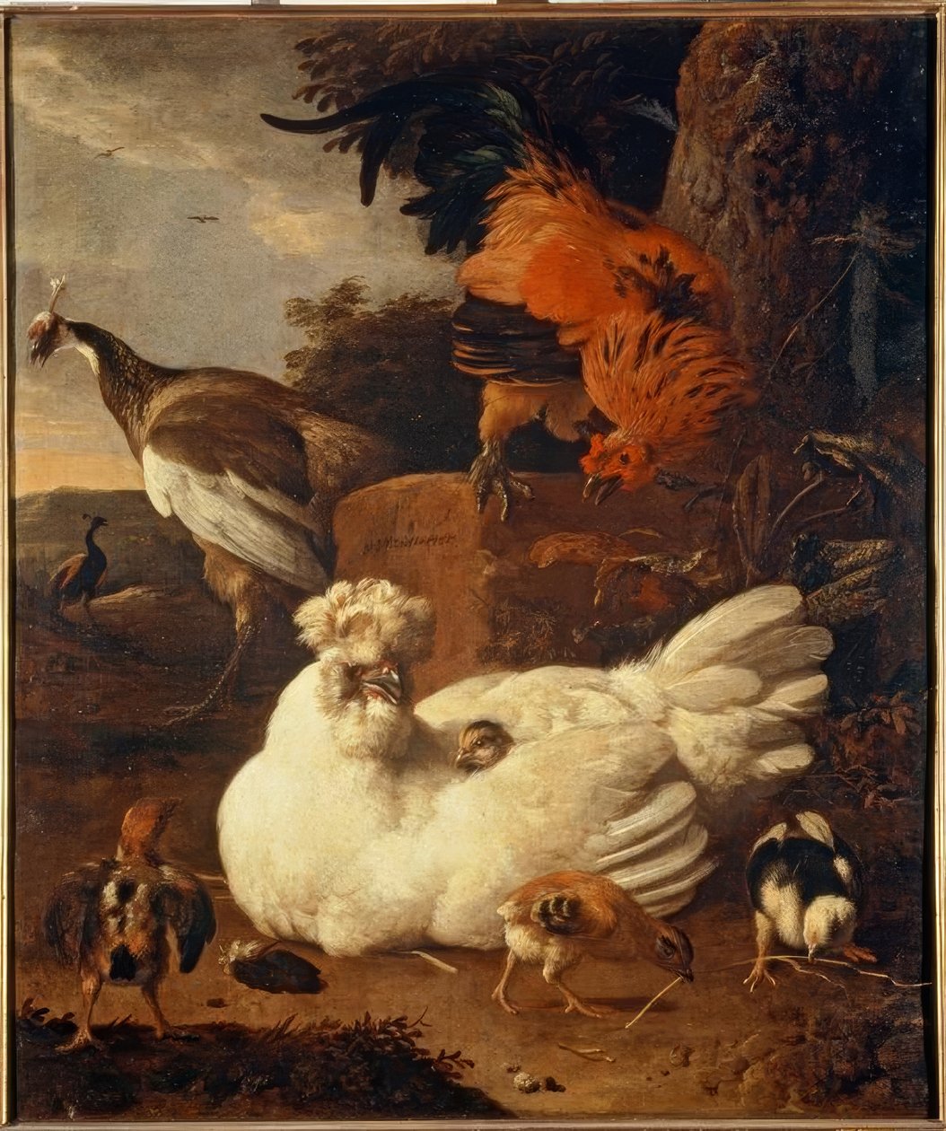 M. de Hondecoeter, hønemor med unger av Melchior de Hondecoeter