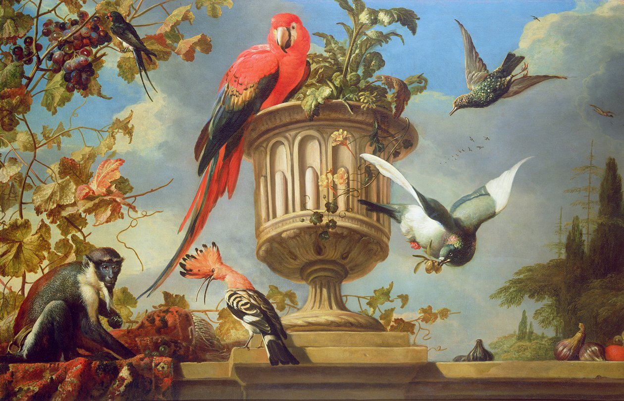 Scarlet Macaw satt på en urne, med andre fugler og en ape som spiste druer av Melchior de Hondecoeter
