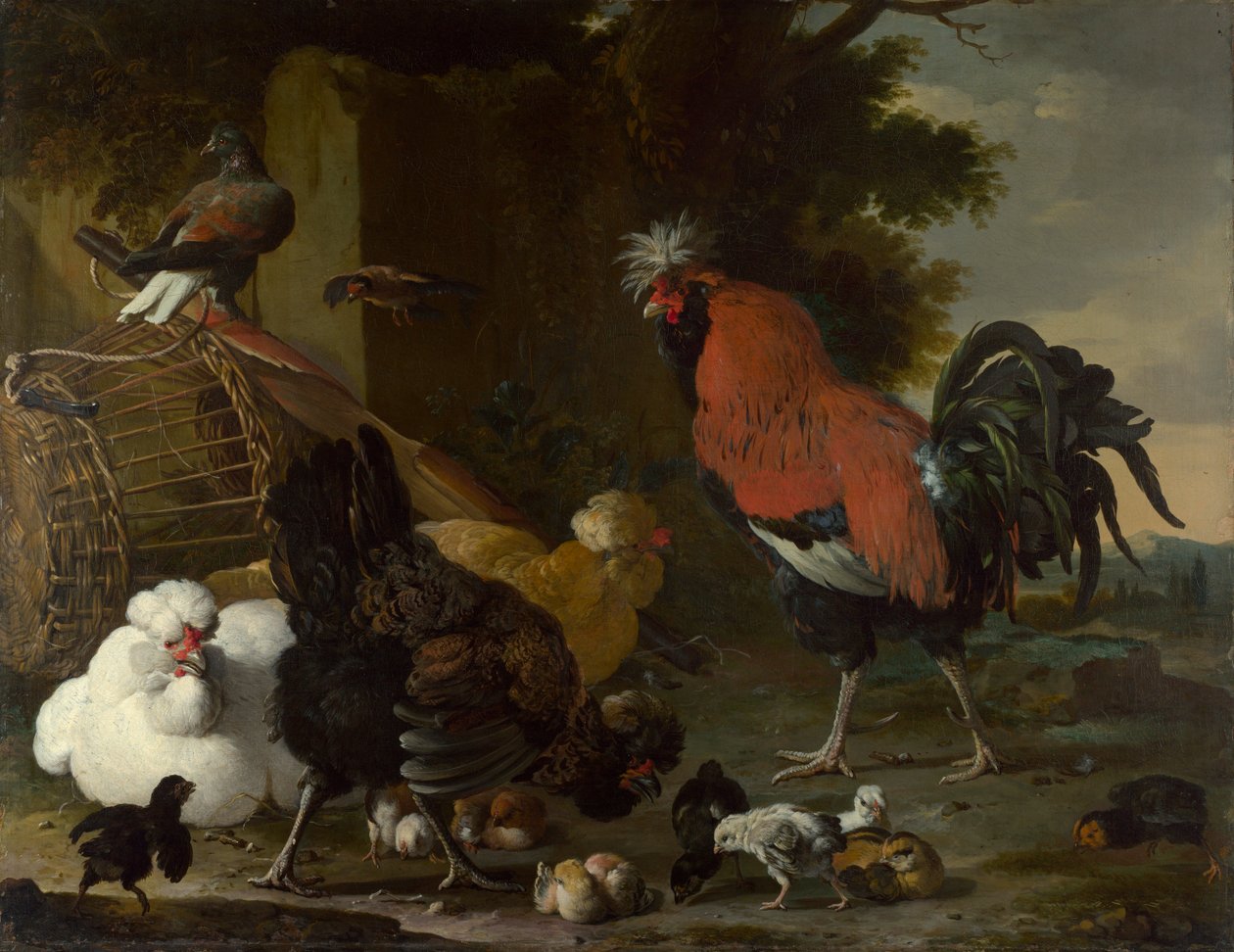 "A Cock, Hens and Chicks" (A Cock, Hens and Chicks) Maleri av Melchior de Hondecoeter (1636-1695) Olje på lerret ca 1668-1670 Dim 85,5x110 cm National Gallery, London av Melchior de Hondecoeter