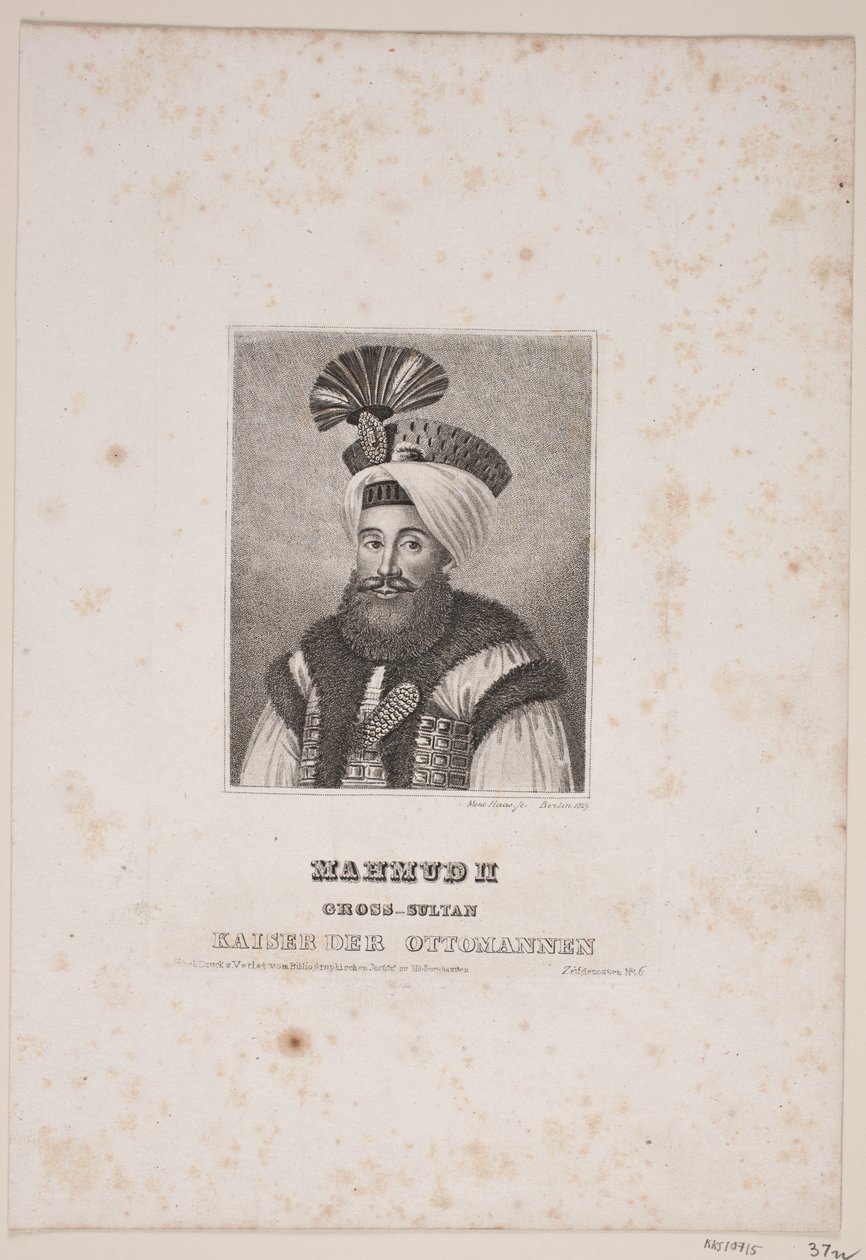  av Meno Haas