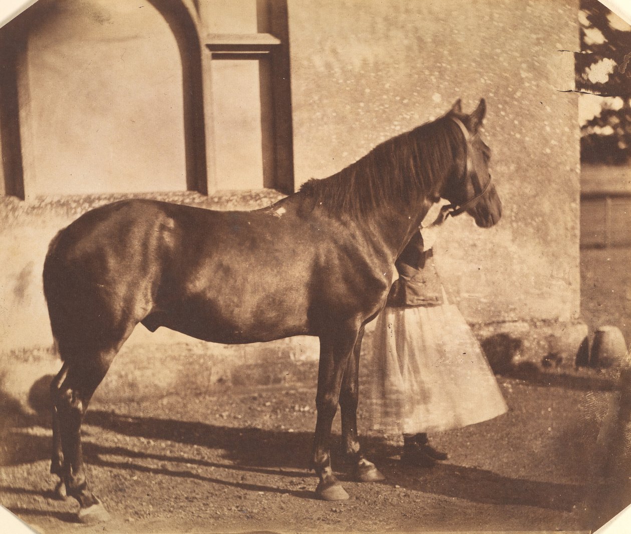 Sultan, mid-1850s.    1140520   no       norwegian Successfully Translated  Original: Seated Woman Translat: Seated Woman 1238933 no norwegian Successfully Translated Original: Gezicht op de kust van Groot-Atjeh, met voor de kust de vloot van de Eerste Atj av Mervyn Herbert Nevil Story Maskelyne