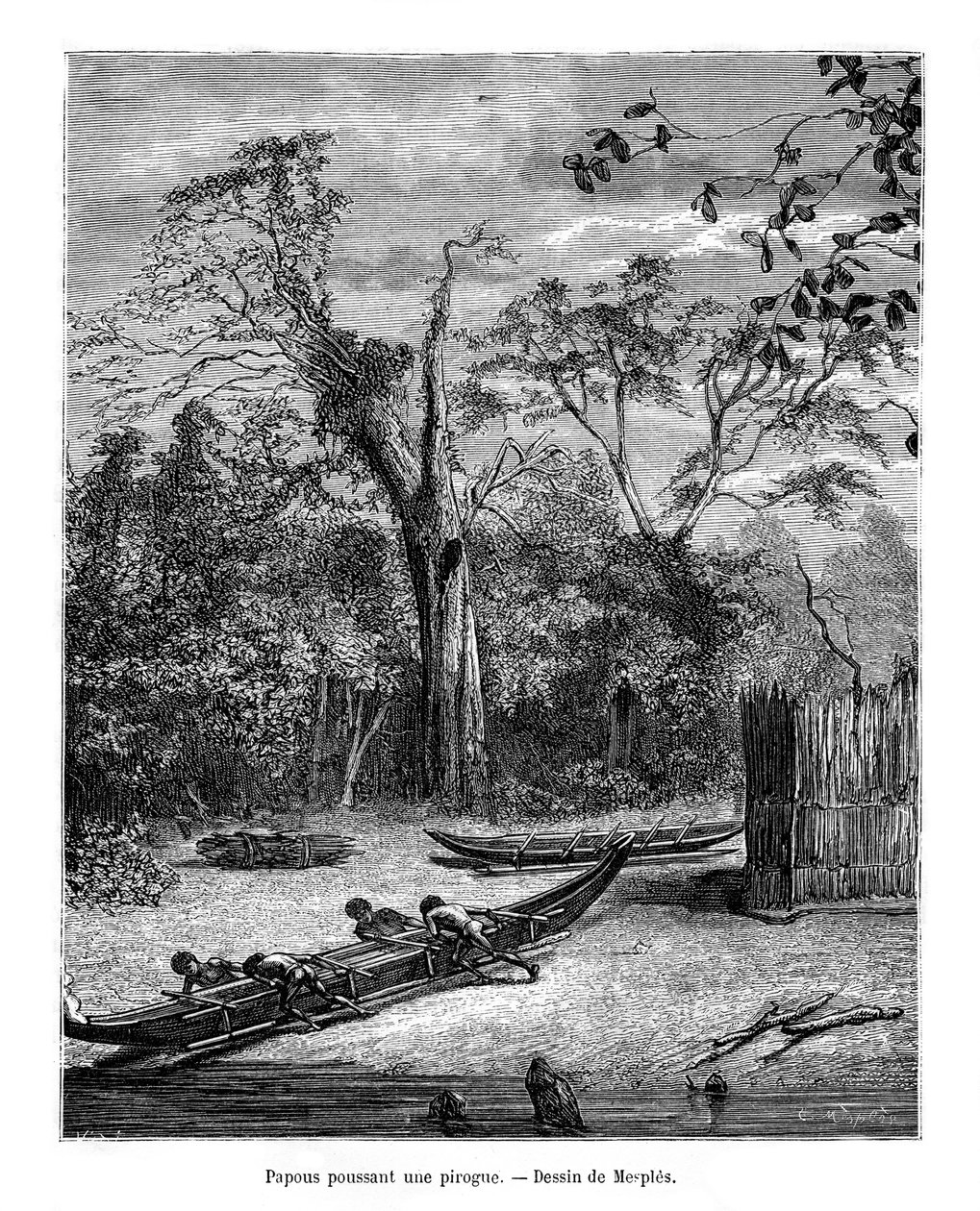 Fiskegrav, Papua, 1800-tallet av Mesples
